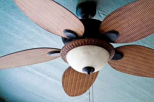 Ceiling Fan For Your Home