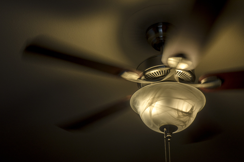 Ceiling Fan For Your Home