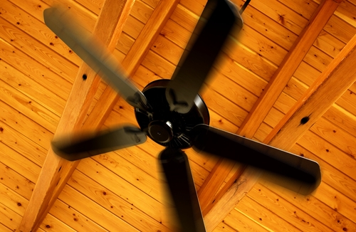 Different Type Ceiling Fan